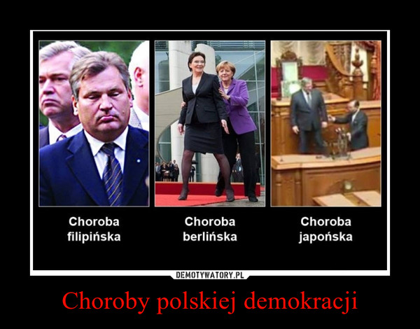 Choroby polskiej demokracji –   