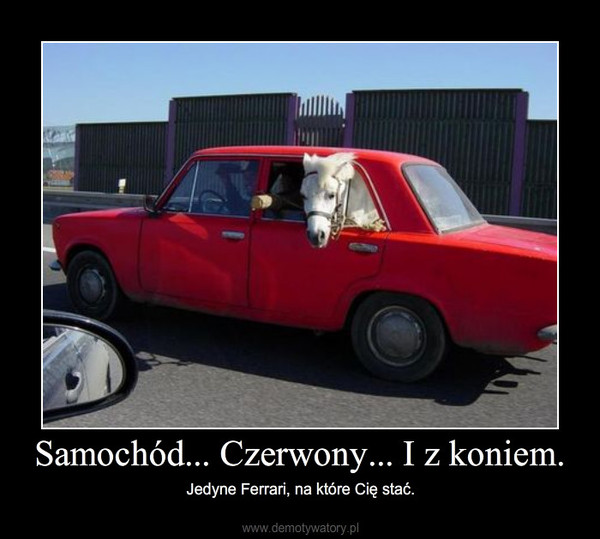 Samochód... Czerwony... I z koniem. Demotywatory.pl