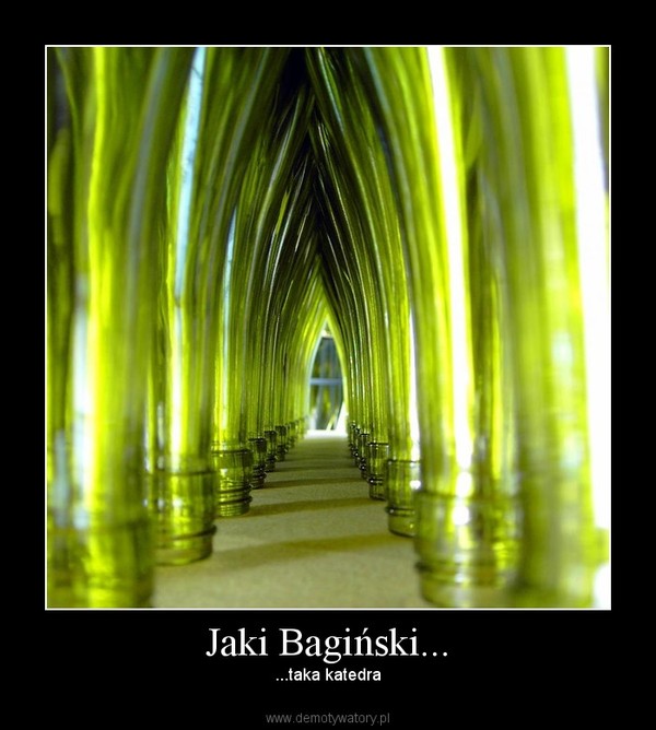 Jaki Bagiński... – ...taka katedra 