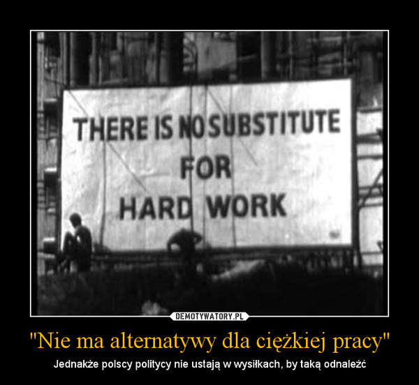 "Nie ma alternatywy dla ciężkiej pracy" – Jednakże polscy politycy nie ustają w wysiłkach, by taką odnaleźć 