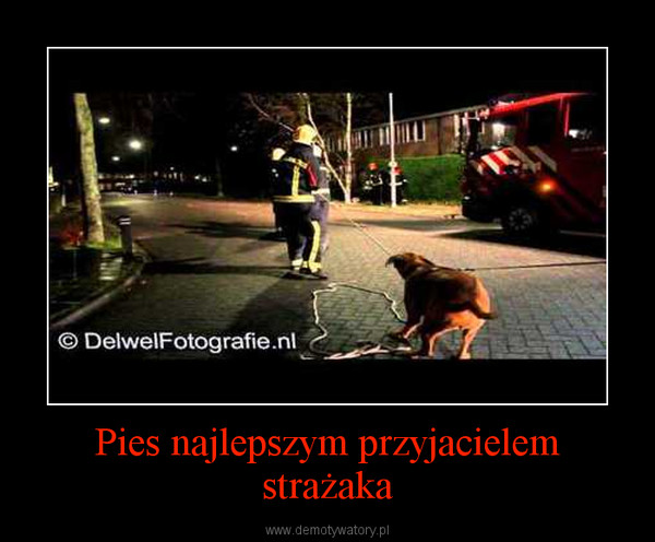 Pies najlepszym przyjacielem strażaka –  