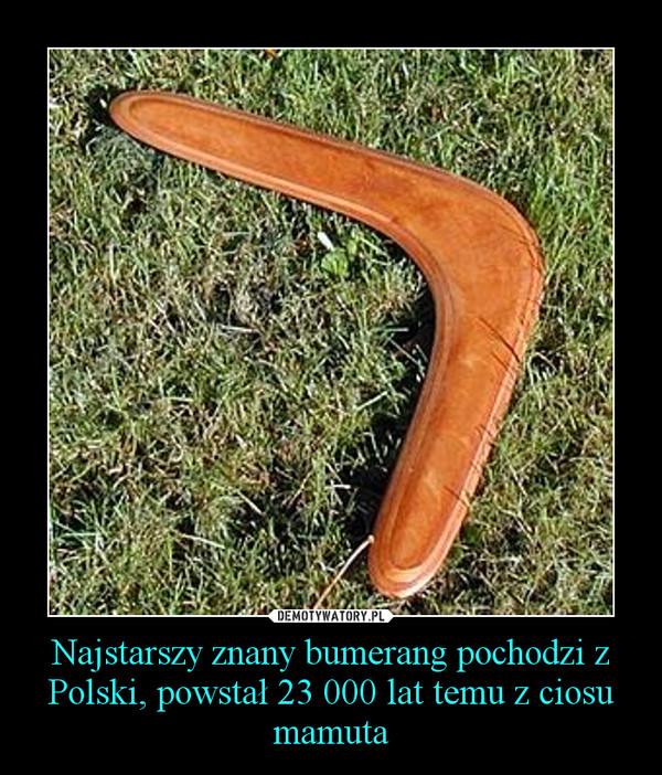 Najstarszy znany bumerang pochodzi z Polski, powstał 23 000 lat temu z ciosu mamuta