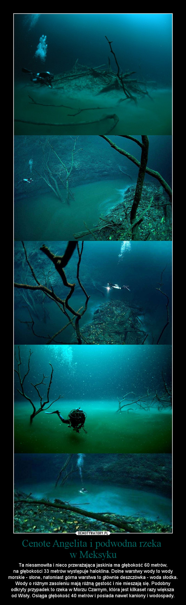 Cenote Angelita i podwodna rzeka w Meksyku – Ta niesamowita i nieco przerażająca jaskinia ma głębokość 60 metrów,\nna głębokości 33 metrów występuje haloklina. Dolne warstwy wody to wody morskie - słone, natomiast górna warstwa to głównie deszczówka - woda słodka. Wody o różnym zasoleniu mają różną gęstość i nie mieszają się. Podobny odkryty przypadek to rzeka w Morzu Czarnym, która jest kilkaset razy większa \nod Wisły. Osiąga głębokość 40 metrów i posiada nawet kaniony i wodospady. 