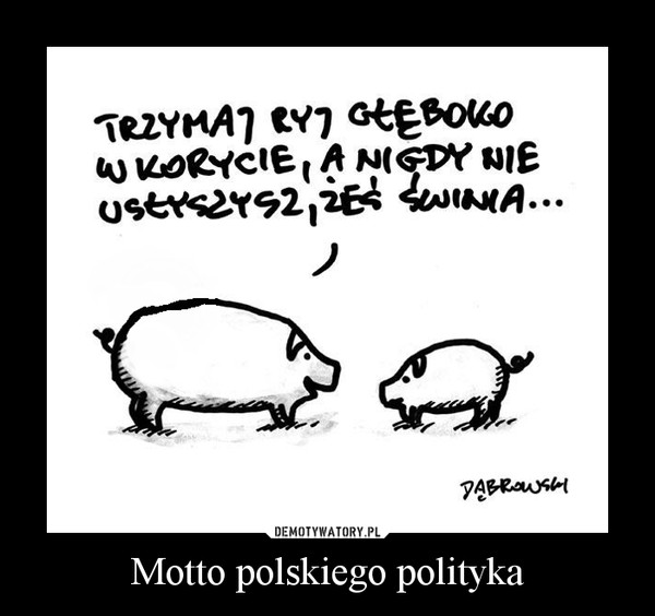 Motto polskiego polityka –  