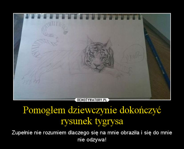 Pomogłem dziewczynie dokończyć rysunek tygrysa – Zupełnie nie rozumiem dlaczego się na mnie obraziła i się do mnie nie odzywa! 