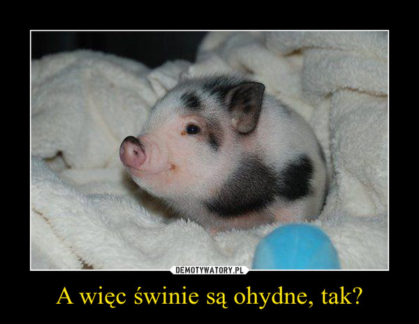 A więc świnie są ohydne, tak? –  