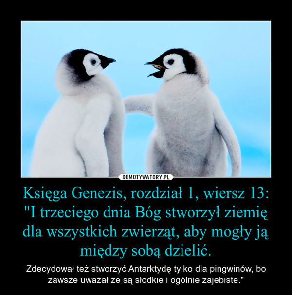 Księga Genezis, rozdział 1, wiersz 13:"I trzeciego dnia Bóg stworzył ziemię dla wszystkich zwierząt, aby mogły ją między sobą dzielić. – Zdecydował też stworzyć Antarktydę tylko dla pingwinów, bo zawsze uważał że są słodkie i ogólnie zajebiste." 