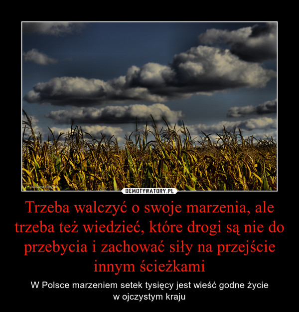 Trzeba walczyć o swoje marzenia, ale trzeba też wiedzieć, które drogi są nie do przebycia i zachować siły na przejście innym ścieżkami – W Polsce marzeniem setek tysięcy jest wieść godne życiew ojczystym kraju 