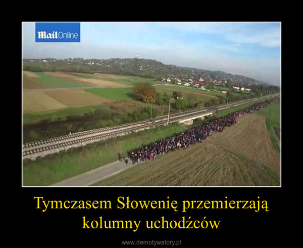 Tymczasem Słowenię przemierzają kolumny uchodźców –  