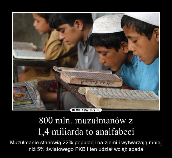 800 mln. muzułmanów z1,4 miliarda to analfabeci – Muzułmanie stanowią 22% populacji na ziemi i wytwarzają mniej niż 5% światowego PKB i ten udział wciąż spada 
