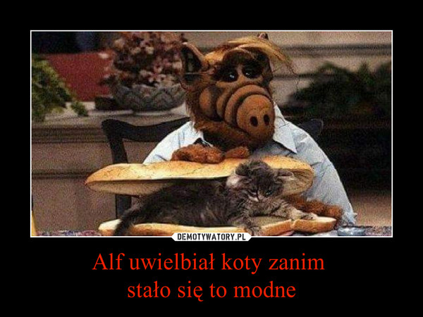 Alf uwielbiał koty zanim stało się to modne –  