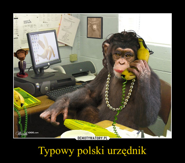 Typowy polski urzędnik –  