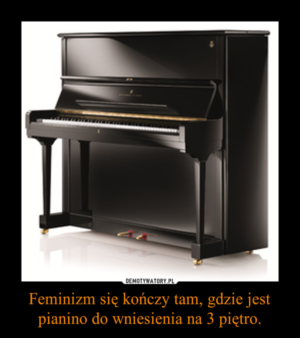 Feminizm się kończy tam, gdzie jest pianino do wniesienia na 3 piętro. –  