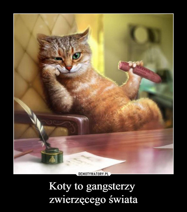 Koty to gangsterzy zwierzęcego świata –  