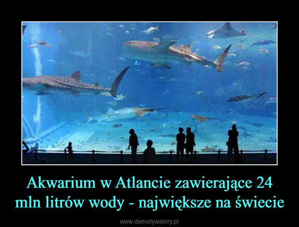 Akwarium w Atlancie zawierające 24 mln litrów wody - największe na świecie –  
