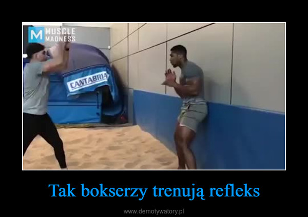 Tak bokserzy trenują refleks –  