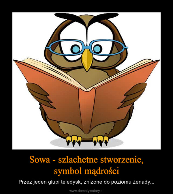 Sowa - szlachetne stworzenie,symbol mądrości – Przez jeden głupi teledysk, zniżone do poziomu żenady... 