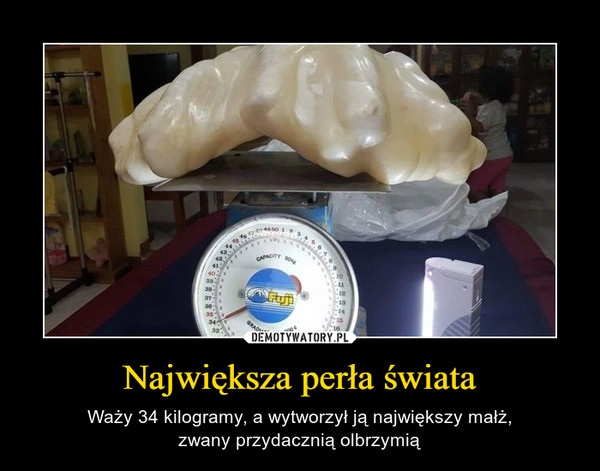 Największa perła świata – Waży 34 kilogramy, a wytworzył ją największy małż,zwany przydacznią olbrzymią 