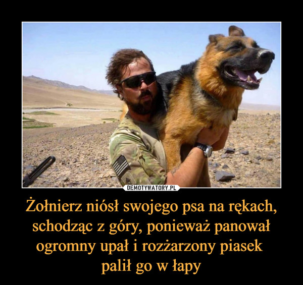 Żołnierz niósł swojego psa na rękach, schodząc z góry, ponieważ panował ogromny upał i rozżarzony piasek palił go w łapy –  