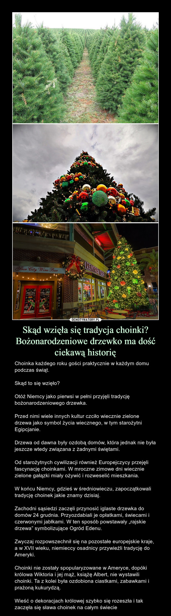 Skąd wzięła się tradycja choinki? Bożonarodzeniowe drzewko ma dość ciekawą historię
