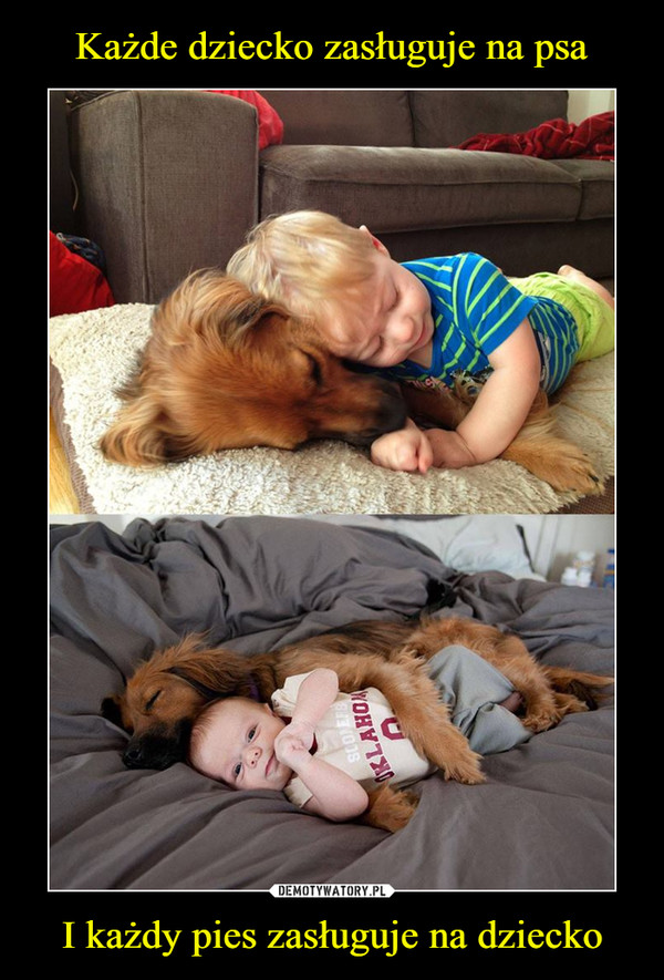 I każdy pies zasługuje na dziecko –  