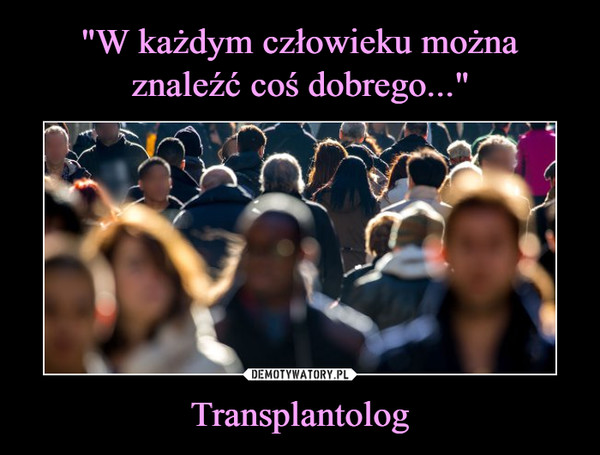 Transplantolog –  