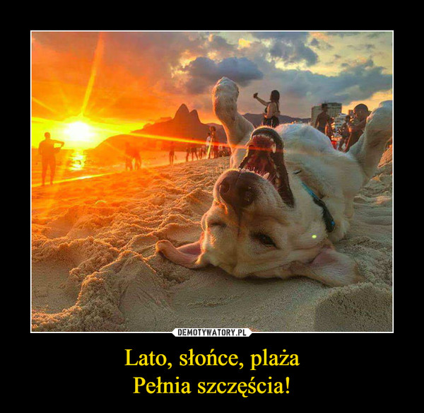 Lato, słońce, plażaPełnia szczęścia! –  
