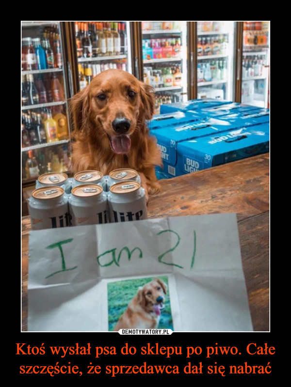 Ktoś wysłał psa do sklepu po piwo. Całe szczęście, że sprzedawca dał się nabrać –  