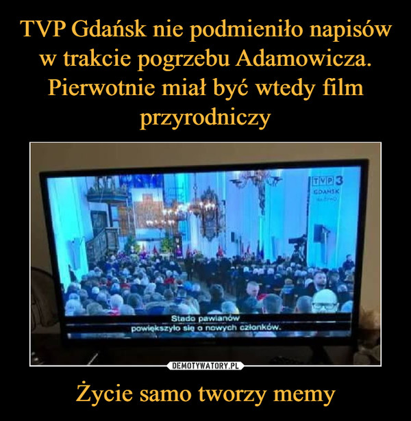 TVP Gdańsk nie podmieniło napisów w trakcie pogrzebu Adamowicza. Pierwotnie miał być wtedy film przyrodniczy Życie samo tworzy memy
