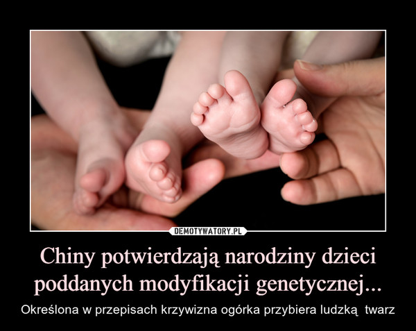 Chiny potwierdzają narodziny dzieci poddanych modyfikacji genetycznej... – Określona w przepisach krzywizna ogórka przybiera ludzką  twarz 