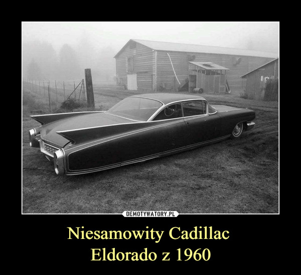 Niesamowity Cadillac Eldorado z 1960 –  