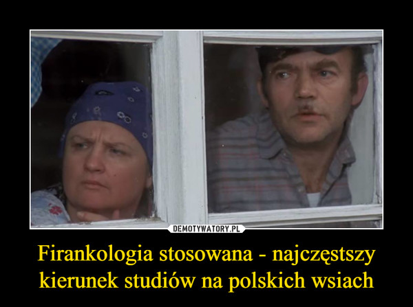 Firankologia stosowana - najczęstszy kierunek studiów na polskich wsiach –  