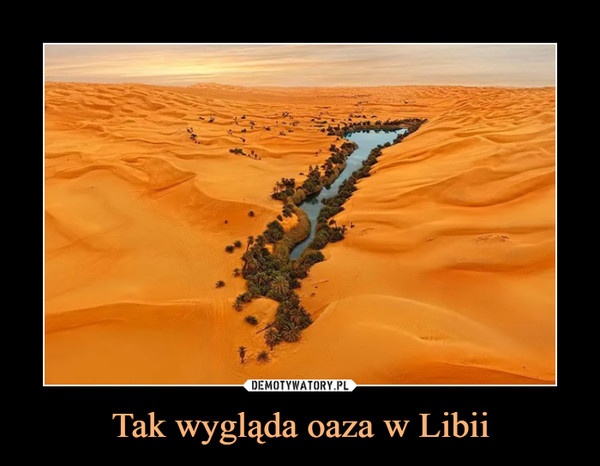 Tak wygląda oaza w Libii