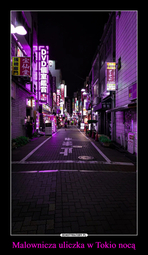 Malownicza uliczka w Tokio nocą –  