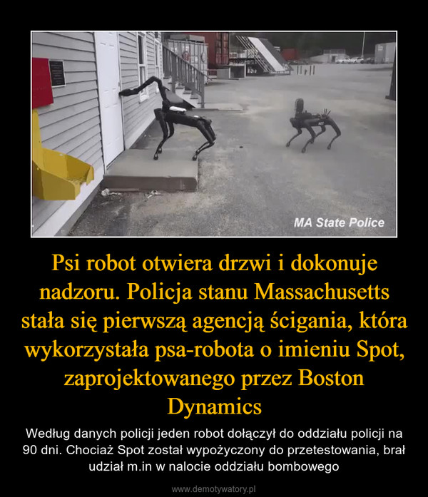Psi robot otwiera drzwi i dokonuje nadzoru. Policja stanu Massachusetts stała się pierwszą agencją ścigania, która wykorzystała psa-robota o imieniu Spot, zaprojektowanego przez Boston Dynamics – Według danych policji jeden robot dołączył do oddziału policji na 90 dni. Chociaż Spot został wypożyczony do przetestowania, brał udział m.in w nalocie oddziału bombowego 