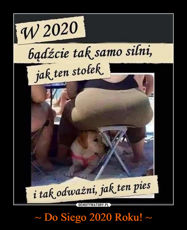 ~ Do Siego 2020 Roku! ~ –  w 2020 bądźcie tak samo silni jak ten stołek i tak odważni jak ten pies