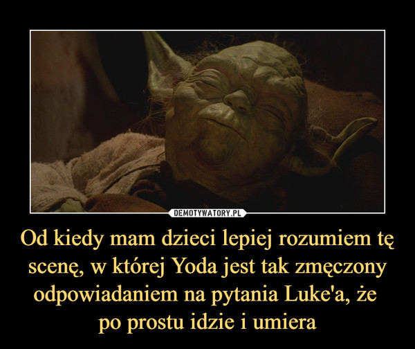 Od kiedy mam dzieci lepiej rozumiem tę scenę, w której Yoda jest tak zmęczony odpowiadaniem na pytania Luke'a, że 
po prostu idzie i umiera