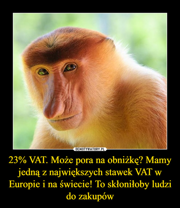 23% VAT. Może pora na obniżkę? Mamy jedną z największych stawek VAT w Europie i na świecie! To skłoniłoby ludzi do zakupów