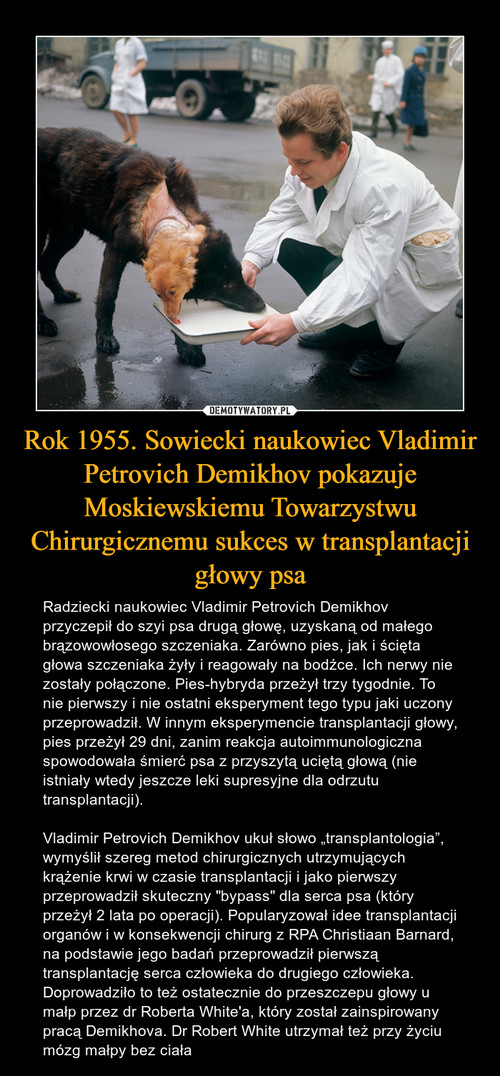 Rok 1955. Sowiecki naukowiec Vladimir Petrovich Demikhov pokazuje Moskiewskiemu Towarzystwu Chirurgicznemu sukces w transplantacji głowy psa