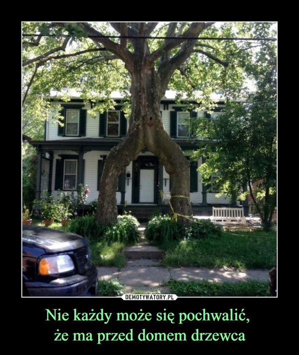 Nie każdy może się pochwalić, że ma przed domem drzewca –  