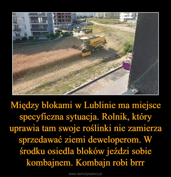 Między blokami w Lublinie ma miejsce specyficzna sytuacja. Rolnik, który uprawia tam swoje roślinki nie zamierza sprzedawać ziemi deweloperom. W środku osiedla bloków jeździ sobie kombajnem. Kombajn robi brrr –  
