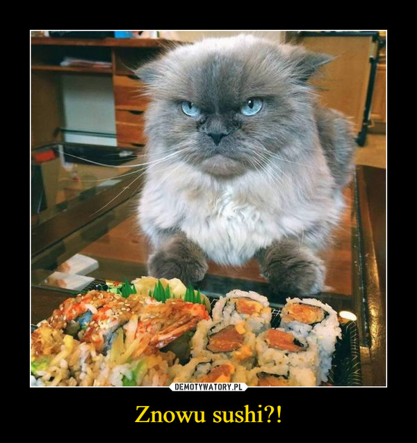 Znowu sushi?! –  