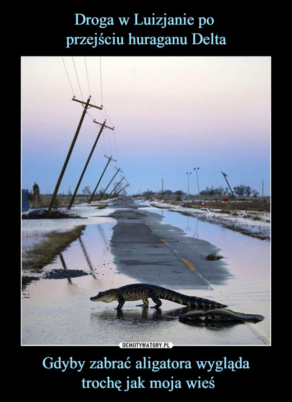 Droga w Luizjanie po 
przejściu huraganu Delta Gdyby zabrać aligatora wygląda
 trochę jak moja wieś