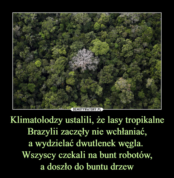 Klimatolodzy ustalili, że lasy tropikalne Brazylii zaczęły nie wchłaniać,a wydzielać dwutlenek węgla. Wszyscy czekali na bunt robotów,a doszło do buntu drzew –  