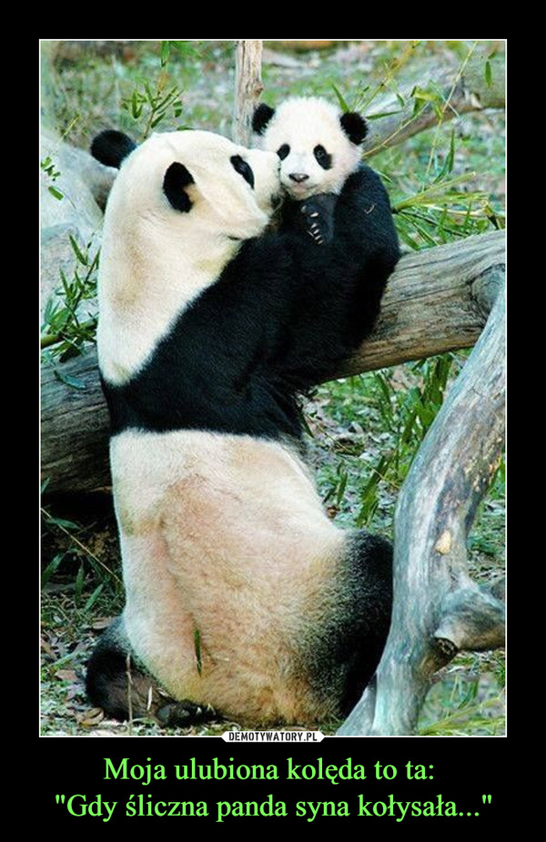 Moja ulubiona kolęda to ta: "Gdy śliczna panda syna kołysała..." –  