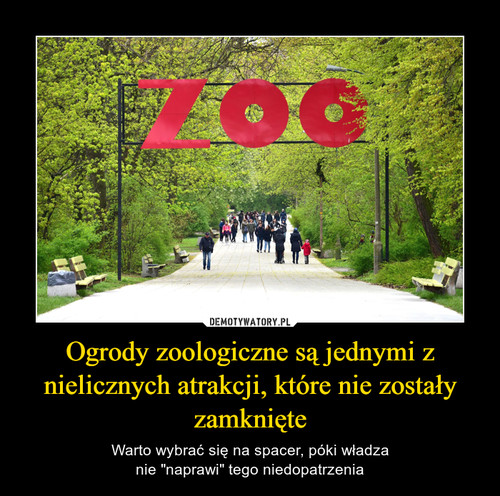 Ogrody zoologiczne są jednymi z nielicznych atrakcji, które nie zostały zamknięte