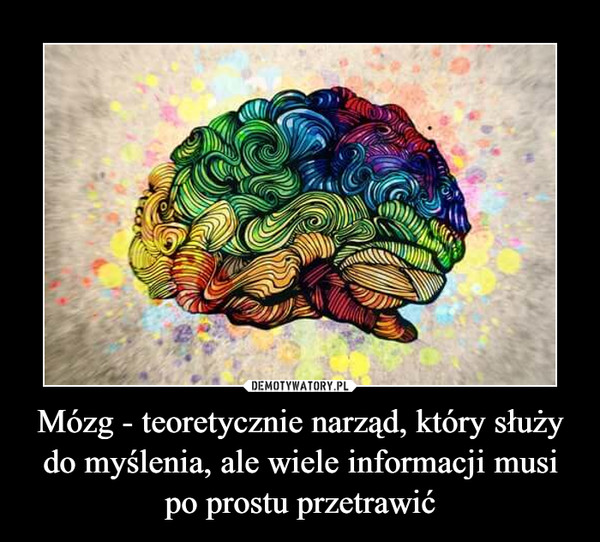 Mózg - teoretycznie narząd, który służy do myślenia, ale wiele informacji musi po prostu przetrawić –  