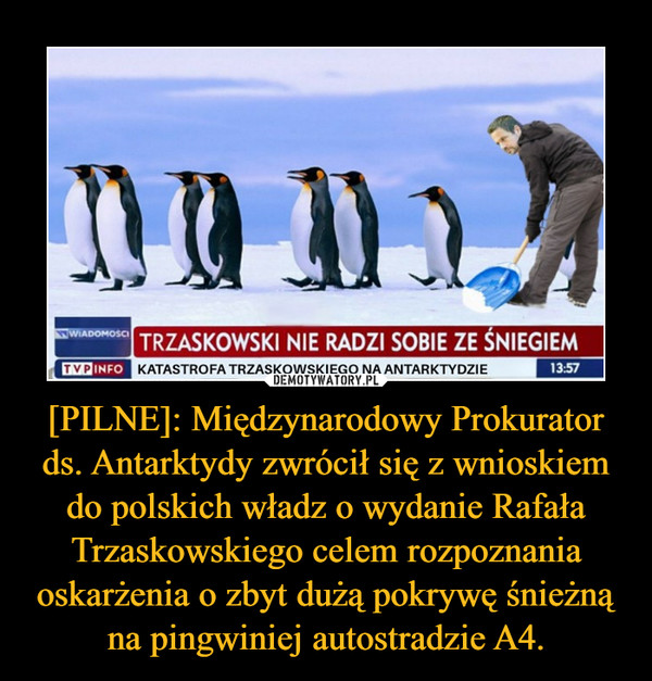 [PILNE]: Międzynarodowy Prokurator ds. Antarktydy zwrócił się z wnioskiem do polskich władz o wydanie Rafała Trzaskowskiego celem rozpoznania oskarżenia o zbyt dużą pokrywę śnieżną na pingwiniej autostradzie A4. –  