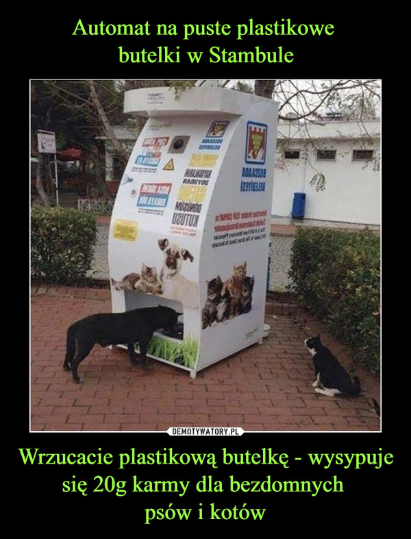 Automat na puste plastikowe 
butelki w Stambule Wrzucacie plastikową butelkę - wysypuje się 20g karmy dla bezdomnych 
psów i kotów