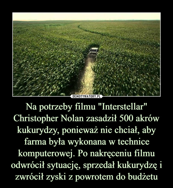 Na potrzeby filmu "Interstellar" Christopher Nolan zasadził 500 akrów kukurydzy, ponieważ nie chciał, aby farma była wykonana w technice komputerowej. Po nakręceniu filmu odwrócił sytuację, sprzedał kukurydzę i zwrócił zyski z powrotem do budżetu